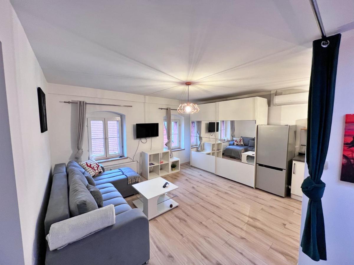 Apartament W Samym Centrum Jeleniej Gory Jelenia Gora Exterior photo